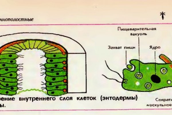 Забыл пароль от кракен