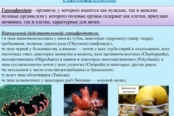 Ссылка на кракен лукойл