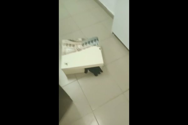 Как зайти на кракен через браузер
