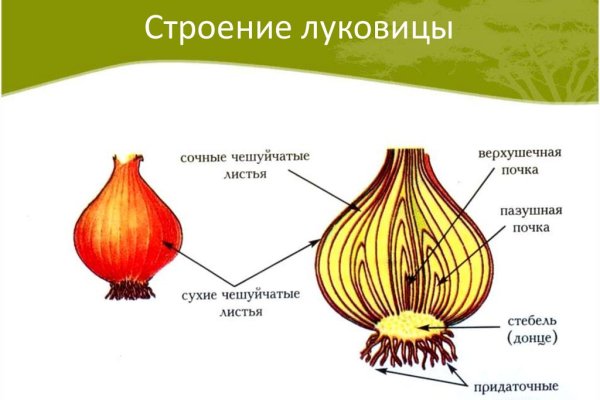 Кракен сайт в тор браузере ссылка