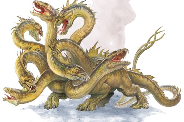 Kraken настоящая ссылка